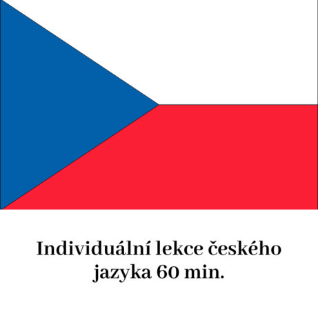 Individuální výuka českého jazyka